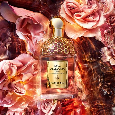 guerlain aqua allegoria rosa|aqua allegoria rosa palissandro.